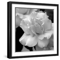 Candy Rose-Nicole Katano-Framed Photo