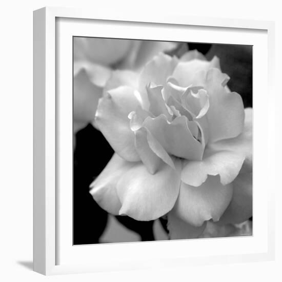 Candy Rose-Nicole Katano-Framed Photo