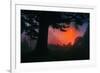 Candy Sunrise and Mist,  Through the Trees, Oakland California-Vincent James-Framed Photographic Print