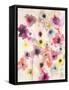 Candy Wrapped Blooms-Karin Johannesson-Framed Stretched Canvas