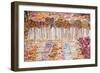 Candy-null-Framed Photographic Print