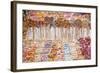 Candy-null-Framed Photographic Print