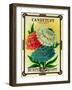 Candytuft Seed Packet-Lantern Press-Framed Art Print