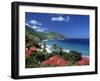 Cane Bay, St,Croix, Us Virgin Islands, Caribbean-Walter Bibikow-Framed Photographic Print