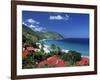 Cane Bay, St,Croix, Us Virgin Islands, Caribbean-Walter Bibikow-Framed Photographic Print