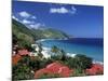 Cane Bay, St,Croix, Us Virgin Islands, Caribbean-Walter Bibikow-Mounted Photographic Print