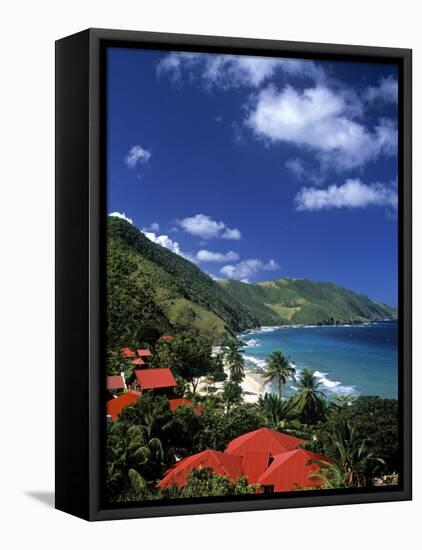 Cane Bay, St,Croix, Us Virgin Islands, Caribbean-Walter Bibikow-Framed Stretched Canvas