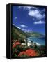 Cane Bay, St,Croix, Us Virgin Islands, Caribbean-Walter Bibikow-Framed Stretched Canvas