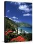 Cane Bay, St,Croix, Us Virgin Islands, Caribbean-Walter Bibikow-Stretched Canvas
