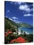 Cane Bay, St,Croix, Us Virgin Islands, Caribbean-Walter Bibikow-Stretched Canvas