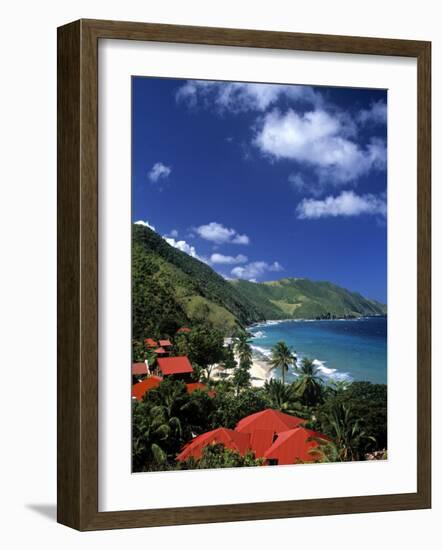 Cane Bay, St,Croix, Us Virgin Islands, Caribbean-Walter Bibikow-Framed Photographic Print