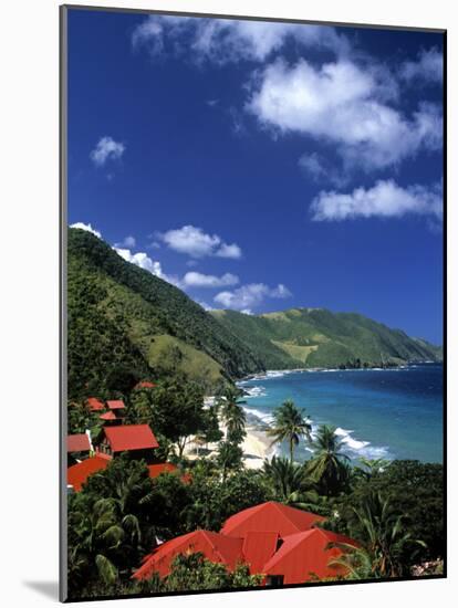 Cane Bay, St,Croix, Us Virgin Islands, Caribbean-Walter Bibikow-Mounted Photographic Print