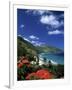 Cane Bay, St,Croix, Us Virgin Islands, Caribbean-Walter Bibikow-Framed Photographic Print