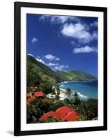 Cane Bay, St,Croix, Us Virgin Islands, Caribbean-Walter Bibikow-Framed Photographic Print