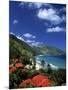 Cane Bay, St,Croix, Us Virgin Islands, Caribbean-Walter Bibikow-Mounted Photographic Print