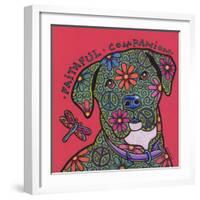 Cane Corso (Italian Mastiff)-Denny Driver-Framed Giclee Print