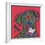 Cane Corso (Italian Mastiff)-Denny Driver-Framed Giclee Print