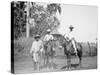 Cane Cutters on a Cuban Sugar Plantation-null-Stretched Canvas