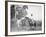 Cane Cutters on a Cuban Sugar Plantation-null-Framed Photo