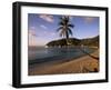 Cane Garden Bay, Cane Garden Bay Beach, Tortola, British Virgin Islands, Caribbean-Walter Bibikow-Framed Photographic Print