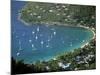 Cane Garden Bay, Tortola, British Virgin Islands, Caribbean-Walter Bibikow-Mounted Photographic Print