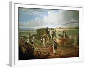 Cane Sugar Harvest in Cuba, 1874-Víctor Patricio Landaluce-Framed Giclee Print