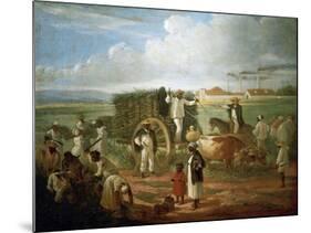 Cane Sugar Harvest in Cuba, 1874-Víctor Patricio Landaluce-Mounted Giclee Print
