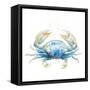 Cangrejo Azul Square-Patricia Pinto-Framed Stretched Canvas