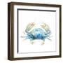 Cangrejo Azul Square-Patricia Pinto-Framed Art Print