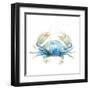 Cangrejo Azul Square-Patricia Pinto-Framed Art Print