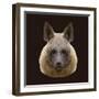 Canine Beast of Pray, Hyena, Low Poly Vector Portrait Illustration-Jan Fidler-Framed Photographic Print