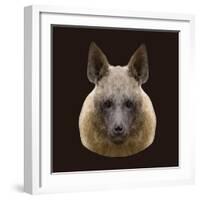 Canine Beast of Pray, Hyena, Low Poly Vector Portrait Illustration-Jan Fidler-Framed Photographic Print