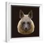 Canine Beast of Pray, Hyena, Low Poly Vector Portrait Illustration-Jan Fidler-Framed Photographic Print