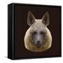 Canine Beast of Pray, Hyena, Low Poly Vector Portrait Illustration-Jan Fidler-Framed Stretched Canvas