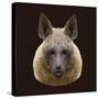 Canine Beast of Pray, Hyena, Low Poly Vector Portrait Illustration-Jan Fidler-Stretched Canvas