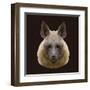 Canine Beast of Pray, Hyena, Low Poly Vector Portrait Illustration-Jan Fidler-Framed Premium Photographic Print