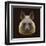 Canine Beast of Pray, Hyena, Low Poly Vector Portrait Illustration-Jan Fidler-Framed Premium Photographic Print