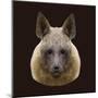 Canine Beast of Pray, Hyena, Low Poly Vector Portrait Illustration-Jan Fidler-Mounted Premium Photographic Print