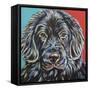 Canine Buddy I-Carolee Vitaletti-Framed Stretched Canvas