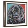 Canine Buddy I-Carolee Vitaletti-Framed Art Print