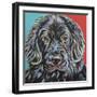 Canine Buddy I-Carolee Vitaletti-Framed Art Print
