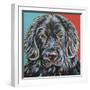 Canine Buddy I-Carolee Vitaletti-Framed Art Print