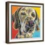 Canine Buddy II-Carolee Vitaletti-Framed Art Print