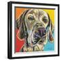 Canine Buddy II-Carolee Vitaletti-Framed Art Print