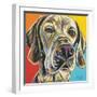 Canine Buddy II-Carolee Vitaletti-Framed Art Print