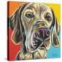 Canine Buddy II-Carolee Vitaletti-Stretched Canvas