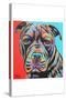 Canine Buddy III-Carolee Vitaletti-Stretched Canvas