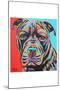 Canine Buddy III-Carolee Vitaletti-Mounted Art Print