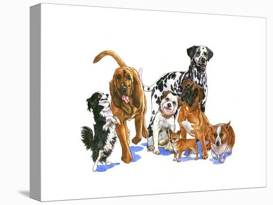 Canine Dogs-Wendy Edelson-Stretched Canvas