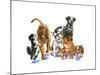Canine Dogs-Wendy Edelson-Mounted Giclee Print